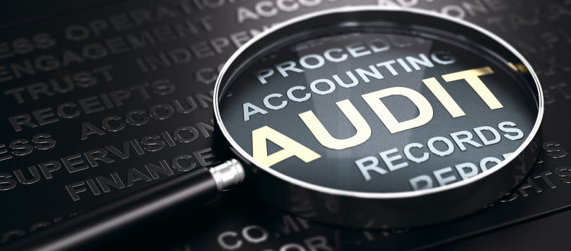 successful audit process